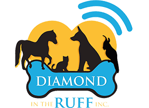 Diamond in the Ruff Inc.