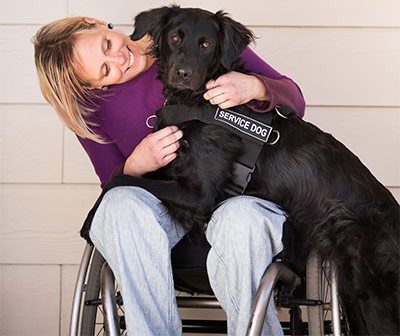 Service Dog Training